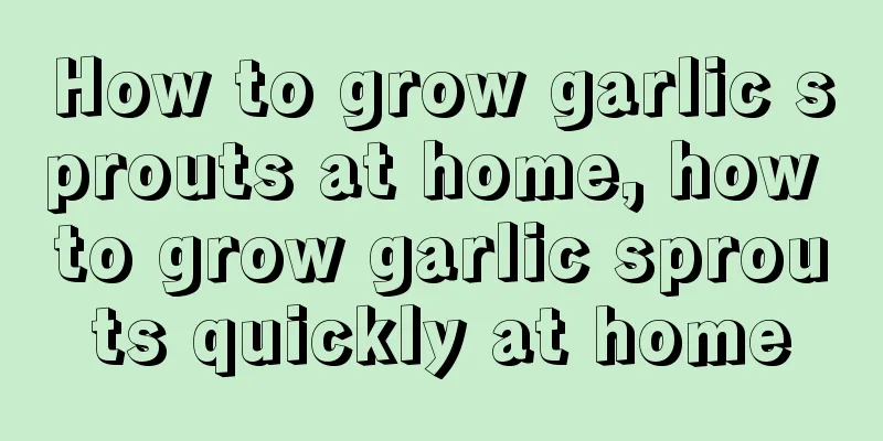 How to grow garlic sprouts at home, how to grow garlic sprouts quickly at home