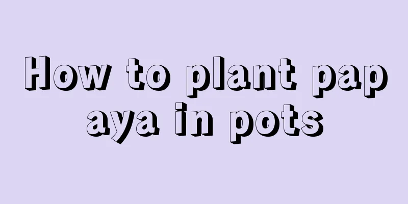 How to plant papaya in pots