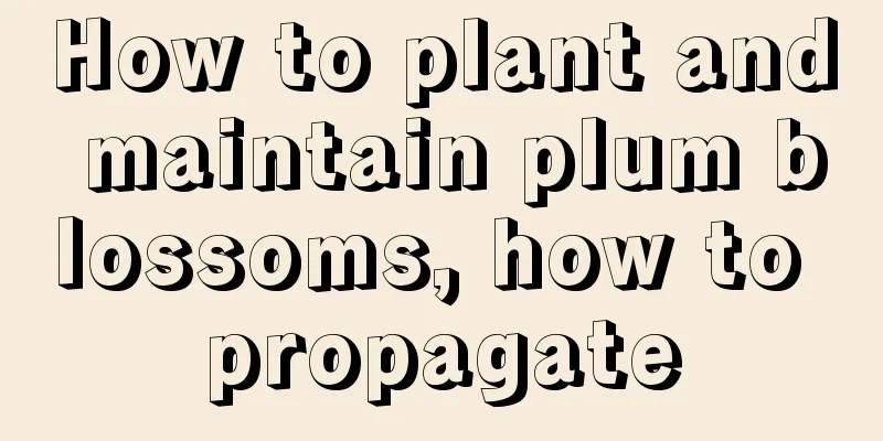 How to plant and maintain plum blossoms, how to propagate