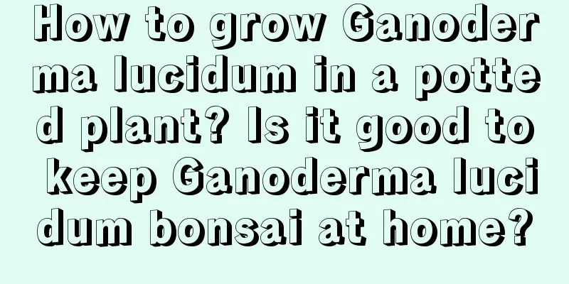 How to grow Ganoderma lucidum in a potted plant? Is it good to keep Ganoderma lucidum bonsai at home?