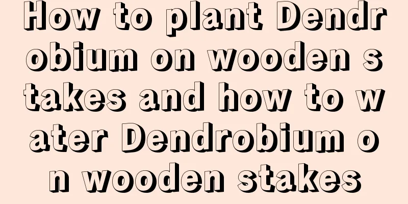 How to plant Dendrobium on wooden stakes and how to water Dendrobium on wooden stakes