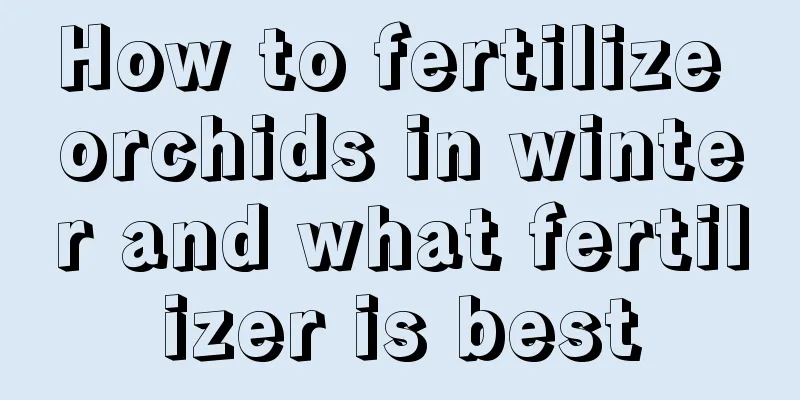 How to fertilize orchids in winter and what fertilizer is best