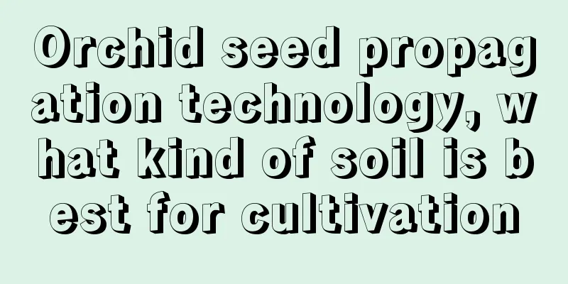 Orchid seed propagation technology, what kind of soil is best for cultivation