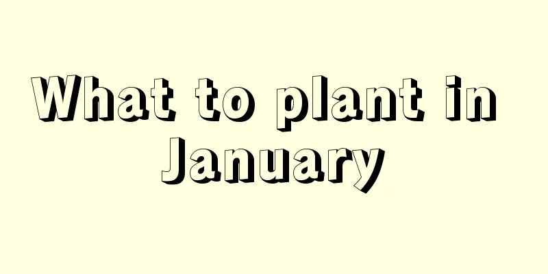 What to plant in January