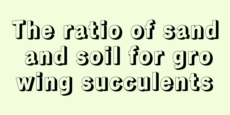 The ratio of sand and soil for growing succulents