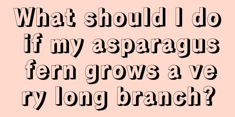 What should I do if my asparagus fern grows a very long branch?