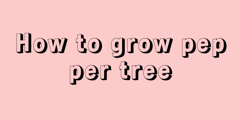 How to grow pepper tree