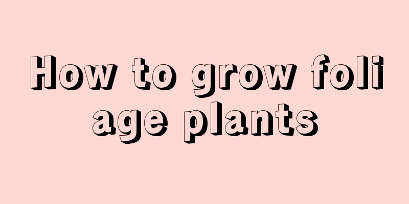 How to grow foliage plants