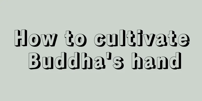 How to cultivate Buddha's hand