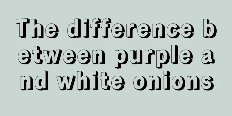 The difference between purple and white onions