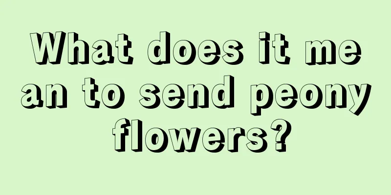 What does it mean to send peony flowers?