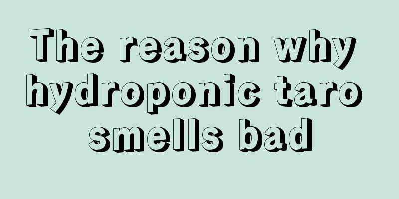 The reason why hydroponic taro smells bad