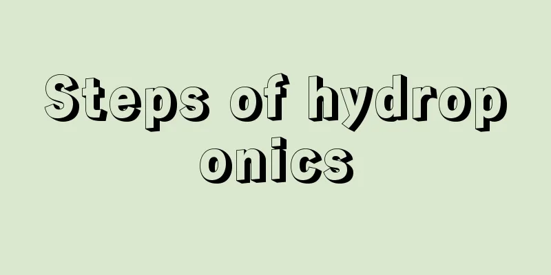 Steps of hydroponics