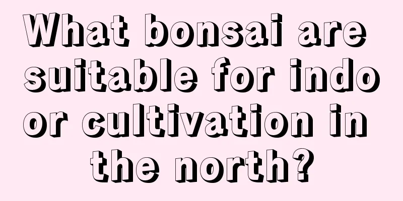 What bonsai are suitable for indoor cultivation in the north?