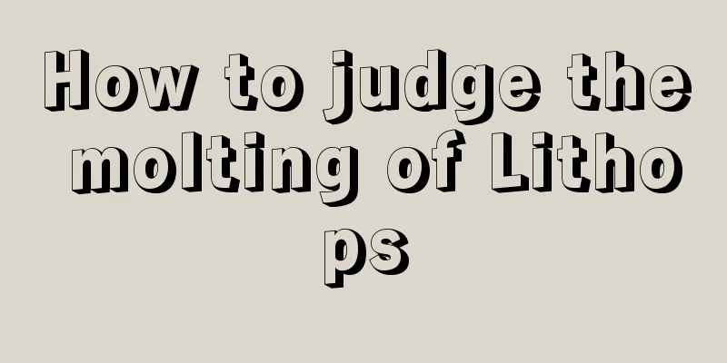 How to judge the molting of Lithops