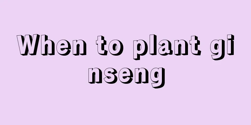 When to plant ginseng