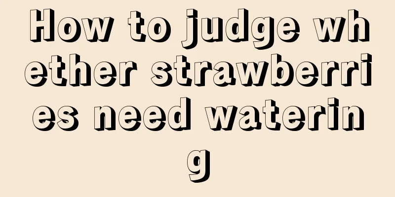 How to judge whether strawberries need watering