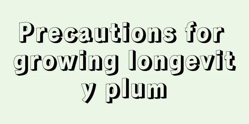 Precautions for growing longevity plum