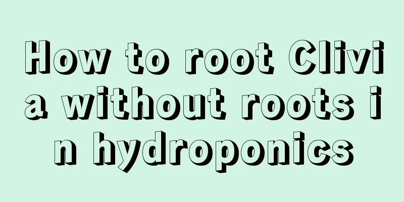 How to root Clivia without roots in hydroponics