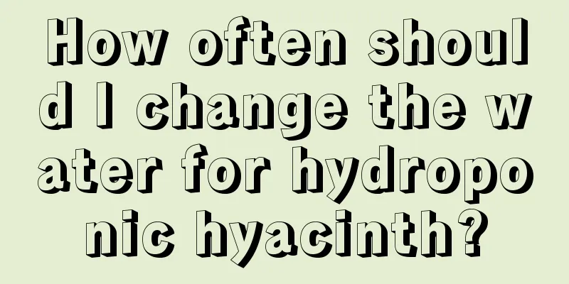 How often should I change the water for hydroponic hyacinth?