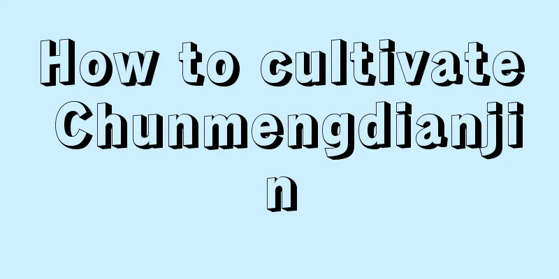 How to cultivate Chunmengdianjin