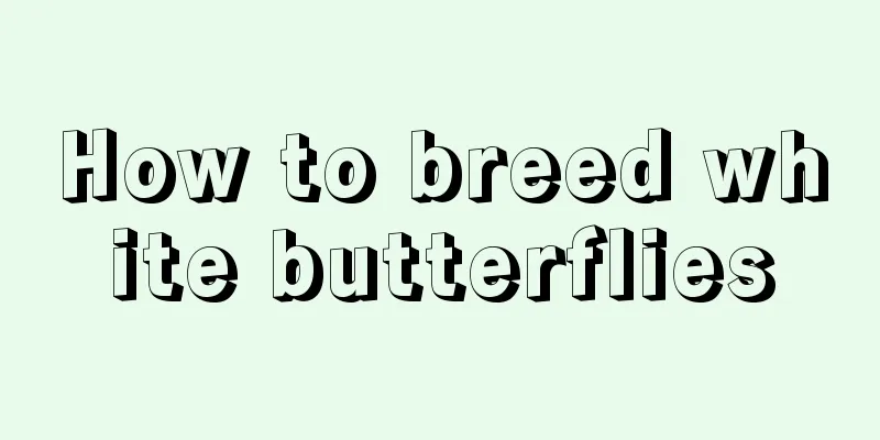 How to breed white butterflies