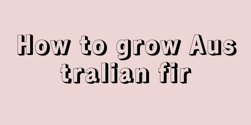 How to grow Australian fir