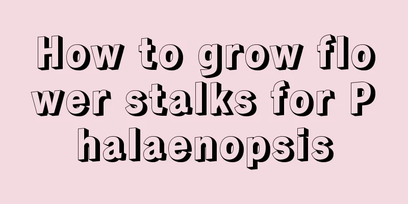 How to grow flower stalks for Phalaenopsis