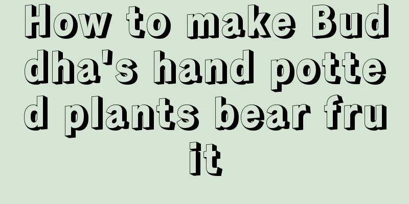 How to make Buddha's hand potted plants bear fruit