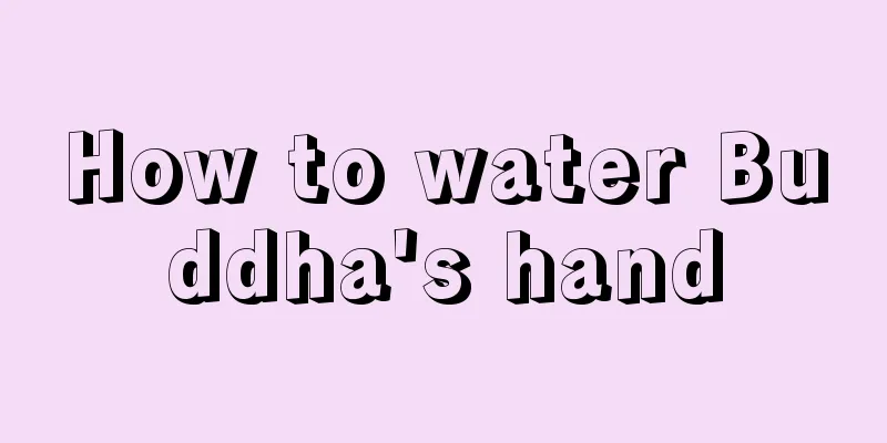 How to water Buddha's hand