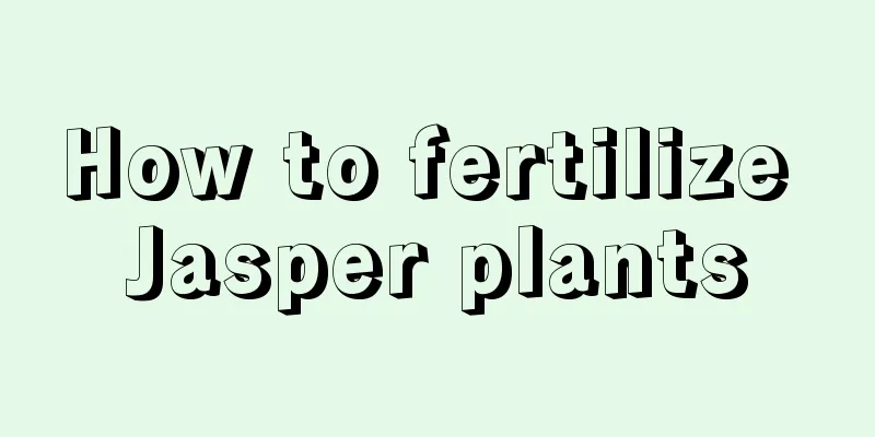 How to fertilize Jasper plants