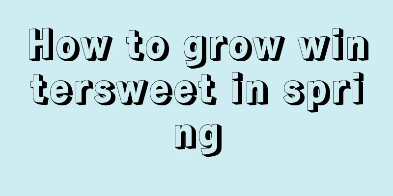 How to grow wintersweet in spring