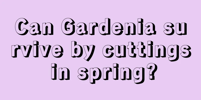 Can Gardenia survive by cuttings in spring?