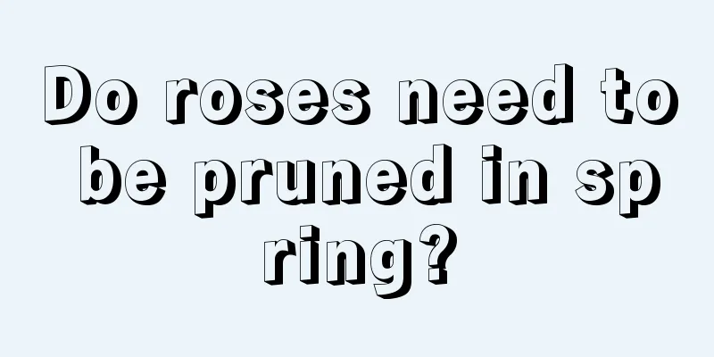 Do roses need to be pruned in spring?