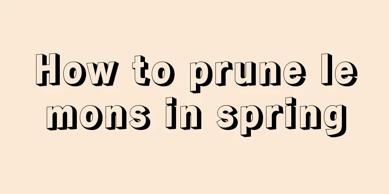 How to prune lemons in spring