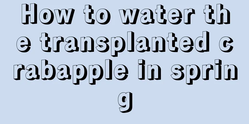 How to water the transplanted crabapple in spring