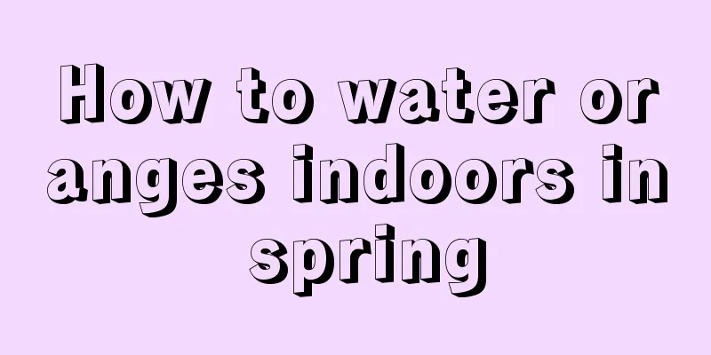 How to water oranges indoors in spring