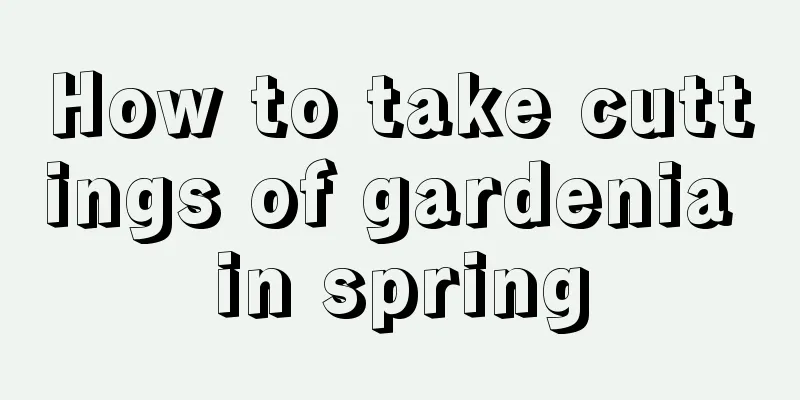 How to take cuttings of gardenia in spring