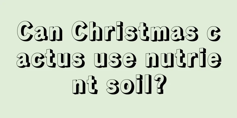 Can Christmas cactus use nutrient soil?