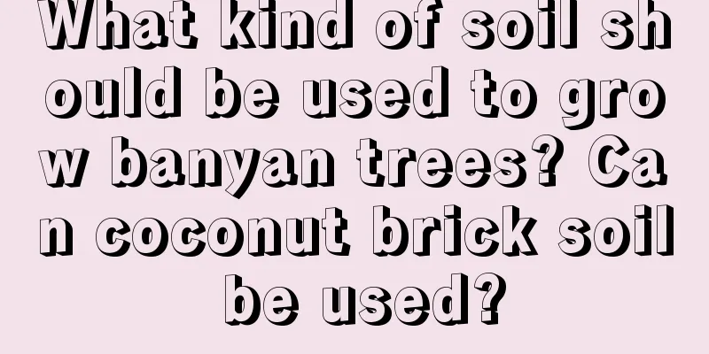 What kind of soil should be used to grow banyan trees? Can coconut brick soil be used?