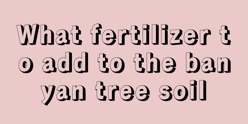 What fertilizer to add to the banyan tree soil