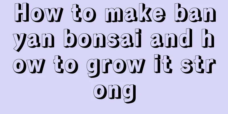 How to make banyan bonsai and how to grow it strong