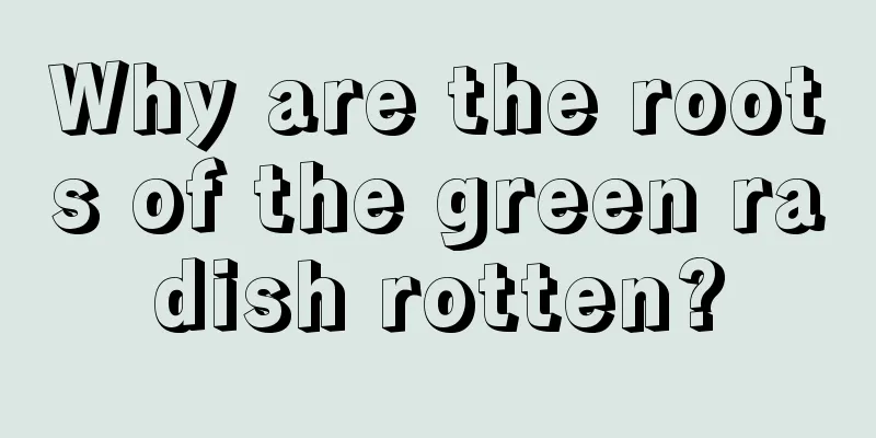 Why are the roots of the green radish rotten?