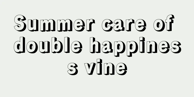 Summer care of double happiness vine