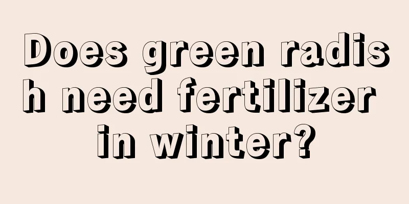 Does green radish need fertilizer in winter?