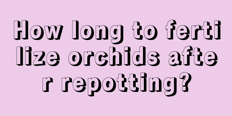 How long to fertilize orchids after repotting?