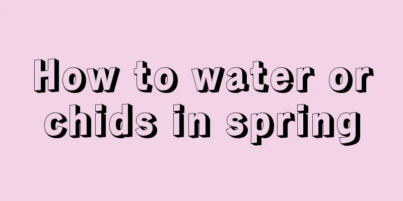 How to water orchids in spring