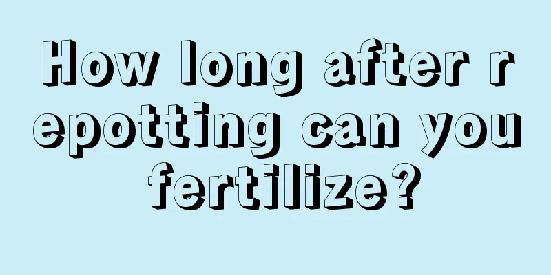 How long after repotting can you fertilize?