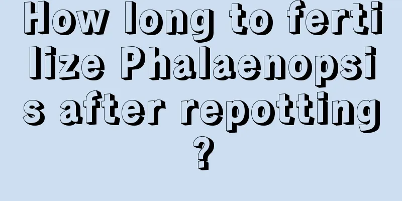 How long to fertilize Phalaenopsis after repotting?