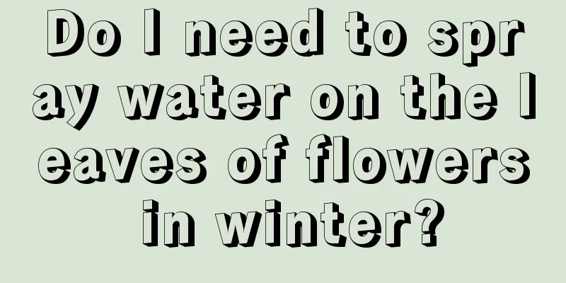 Do I need to spray water on the leaves of flowers in winter?